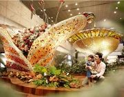 Những lý do khiến sân bay Changi là sân bay tốt nhất thế giới