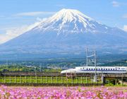 Tour du lịch Nhật Bản ngắm trọn vẻ đẹp phong cảnh Tokyo – Yamanashi