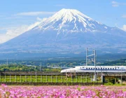 Tour du lịch Nhật Bản ngắm trọn vẻ đẹp phong cảnh Tokyo – Yamanashi