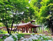 Những danh thắng nổi tiếng Hàn Quốc du khách không thể bỏ qua