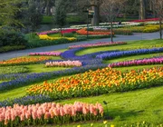 Tham quan vườn hoa Keukenhof Hà Lan - Vườn hoa lớn nhất thế giới