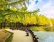 Chiêm ngưỡng thiên nhiên tươi đẹp bốn mùa trong tour du lịch Hàn Quốc