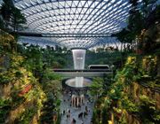 Tại sao sân bay Changi Singapore là sân bay tốt nhất thế giới? Những điều bạn cần biết