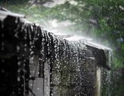 Khám phá cuộc sống ở nơi mưa nhiều nhất thế giới.