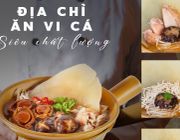 Địa chỉ ăn vi cá siêu chất lượng ở Sài Gòn
