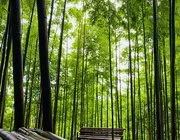 Phát hiện nơi cảnh như trong phim ở vùng núi phía Bắc, du khách nhận xét không phải ai cũng tới được