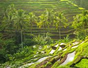 Bali: Thiên đường mùa hè