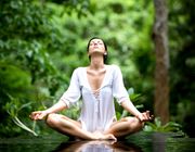 Trải nghiệm "tắm rừng" kiểu Nhật Bản