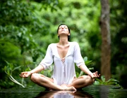 Trải nghiệm "tắm rừng" kiểu Nhật Bản
