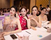 Trương Quỳnh Anh khoe nhan sắc ngọt ngào tại họp báo Bước nhảy hoàn vũ 2024