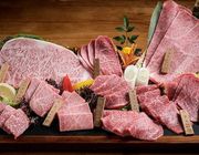 Bò Wagyu A5 Dát Vàng - Khám phá miếng bò "đắt nhất thế giới"