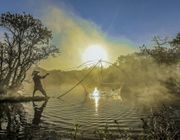 Đẹp mê mẩn rừng ngập mặn Huế mùa thay lá