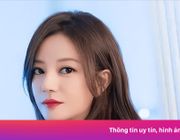 Triệu Vy bị cưỡng chế nộp phạt
