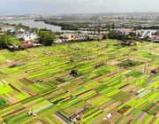 4 trải nghiệm phải thử ở làng rau Trà Quế – làng du lịch tốt nhất thế giới