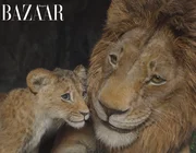Phim hoạt hình Mufasa: Vua Sư Tử chân thật trong từng khung hình