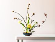 Nghệ thuật cắm hoa Ikebana: Khúc giao hòa giữa thiên nhiên và con người