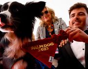 Chú chó Messi gây sốt tại Oscar 2024