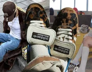Có mẫu sneaker của adidas đang được bán với giá gần 70 triệu