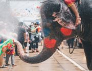Trải nghiệm niềm vui giật gân: Lễ hội té nước Songkran 2024 ở Thái Lan