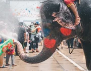Trải nghiệm niềm vui giật gân: Lễ hội té nước Songkran 2024 ở Thái Lan