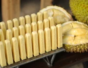 Kem chấm muối ở Hà Nội hút khách vì lạ miệng