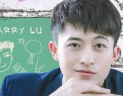 Cuộc sống sau biến cố của Harry Lu hiện giờ ra sao?
