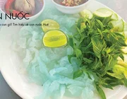 Con nuốc là con gì? Tìm hiểu về con nuốc Huế