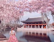 Cách tham quan 5 cung điện nổi tiếng ở Seoul miễn phí