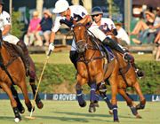 Polo thú chơi quý tộc của giới thượng lưu