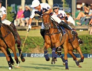 Polo thú chơi quý tộc của giới thượng lưu