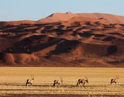 Mạo hiểm kiểu thượng lưu: Kỳ 2 - Đến sa mạc Namibia cùng andBeyond