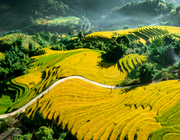 Những điểm đến du lịch xanh tuyệt đẹp ở Việt Nam