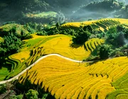 Những điểm đến du lịch xanh tuyệt đẹp ở Việt Nam