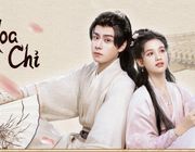 Lịch chiếu Tích Hoa Chỉ: Trương Tịnh Nghi có gánh nổi Hồ Nhất Thiên?