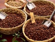 Những loại cà phê thơm ngon nổi tiếng của Việt Nam được du khách ưa chuộng