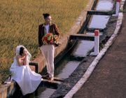 Cặp đôi chụp ảnh cưới tuyệt đẹp trên cánh đồng lúa "hot" nhất MXH