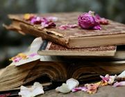Top 5 cuốn sách về nước hoa cực hay dành cho các tín đồ mùi hương