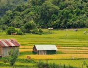 Khám phá "Đà Lạt thứ 2 của Tây Nguyên" trong ngày hè rộn ràng và đầy màu sắc