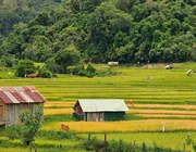 Khám phá "Đà Lạt thứ 2 của Tây Nguyên" trong ngày hè rộn ràng và đầy màu sắc