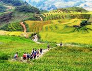Du lịch Sapa: đi đâu, ăn gì để không bỏ lỡ những khoảnh khắc đẹp nhất !