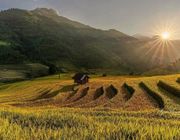 Hè này, về ngôi làng 'Sapa thu nhỏ' ngắm ruộng bậc thang mùa nước đổ đẹp mơ màng