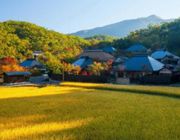 Top 5 khách sạn truyền thống ấn tượng nhất Nhật Bản