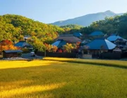 Top 5 khách sạn truyền thống ấn tượng nhất Nhật Bản