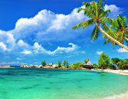 Những điểm lặn biển ngắm san hô đẹp ở Việt Nam
