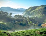 Lạc lối ở Chiang Mai - Đóa hồng phương Bắc Thái Lan