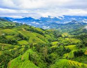 Hà Giang: Mê mẩn ‘bức tranh’ ruộng bậc thang mùa lúa xanh ở Hoàng Su Phì
