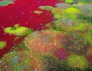 Ngắm Di sản Thế giới mới năm 2024 của UNESCO