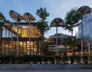 Thiết kế biophilic – kiến tạo phong cách sống wellness