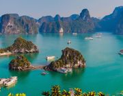 Hạ Long sẵn sàng đón khách du lịch trở lại sau bão Yagi