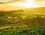 Địa phương Việt Nam từng được vinh danh "hàng đầu thế giới", được ví như viên ngọc xanh, mùa nào cũng đẹp